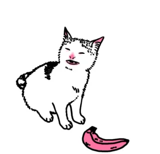 😖 Katze, Banane, rosa Banane, lustige Katze, Tier telegram sticker