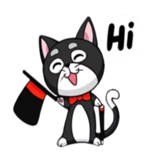 🙂 Hi gato, desenho animado, olá, mágica, cumprimento, amigável telegram sticker