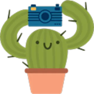📷 cactus, macchina fotografica, pianta, fotografia, natura, carino, adesivo telegram sticker