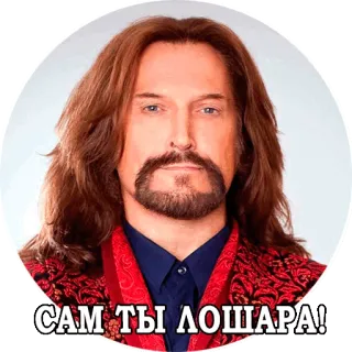 😆 САМ ТЫ ЛОШАРА! whatsapp sticker