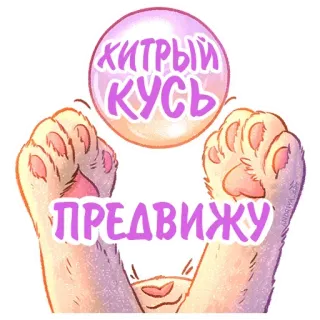 🔮 Хитрый кусь предвижу Katze, niedlich, russisch, Tier, Pfote telegram sticker