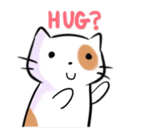 🙆‍♂️ HUG? chat, câlin, mignon, amical, sain, animal telegram sticker