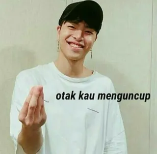 ✨ otak kau menguncup портрет, мужчина, улыбка, k-pop, молодежь, человек telegram sticker