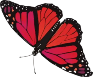 🐝 butterfly, insects, animals, nature whatsapp sticker