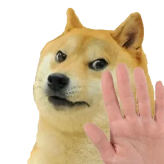 🙅‍♂️ Doge doge, hond, stop, hand, meme telegram sticker