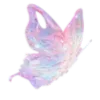 🦋