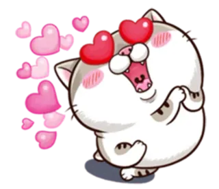 😍 Katze, Herzen, Liebe, süß, Valentinstag, entzückend, Tier whatsapp sticker