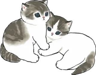 🤗 gatos, gatinhos, fofo, animais, animais domésticos telegram sticker