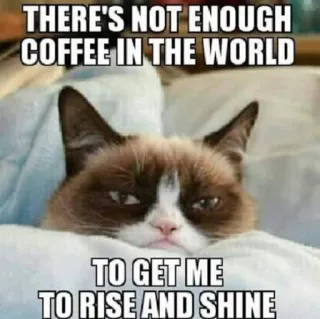 ☕ Grumpy Cat THERE'S NOT ENOUGH COFFEE IN THE WORLD TO GET ME TO RISE AND SHINE 暴躁猫, 表情包, 咖啡, 早上, 困, 猫 whatsapp sticker