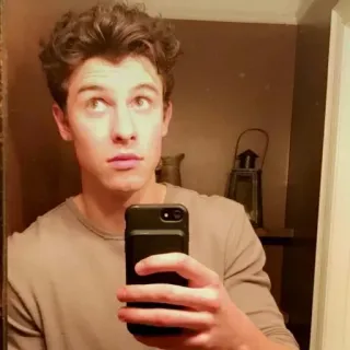 👀 Shawn Mendes celebrity, singer, musician, portrait, selfie, male telegram sticker