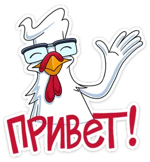 ✋ ПРИВЕТ! chicken, hello, glasses, greeting, cartoon, animal, bird telegram sticker