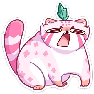 😲 kot, różowy, słodki, zwierzę, kreskówka whatsapp sticker