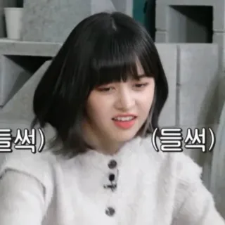 🦔 들썩 expresión, retrato, coreana, mujer telegram sticker