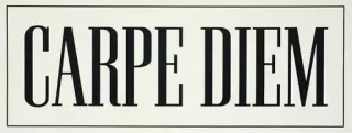 ☺️ CARPE DIEM carpe diem, seize the day, latin, typography, inspirational, motivation, quote telegram sticker