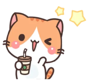 😉 mèo, kawaii, dễ thương, đồ uống, hoạt hình, ngôi sao, sticker whatsapp sticker