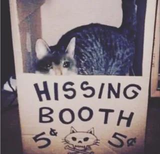 😢 HISSING BOOTH
5¢ 5¢ кот, шипение, стенд, череп, юмор telegram sticker