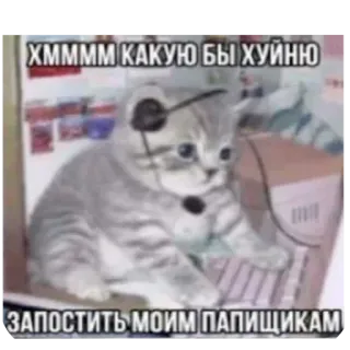 🫤 ХММММ КАКУЮ БЫ ХУЙНЮ ЗАПОСТИТЬ МОИМ ПАПИЩИКАМ кот, компьютер, мем, смешной, котенок telegram sticker