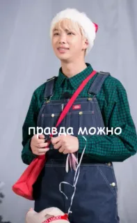 🤩 правда можно russian, santa hat, person, overalls telegram sticker