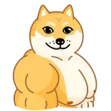 Doge telegram stickers
