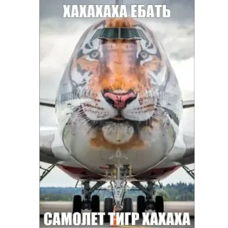 🫥 ХАХАХАХА ЕБАТЬ
САМОЛЕТ ТИГР ХАХАХА Avion, Tigre, Drôle, Offensant, Meme telegram sticker