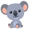 🐨