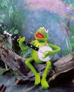 🪕 Kermit the Frog burattino, rana, muppet, banjo, musica telegram sticker