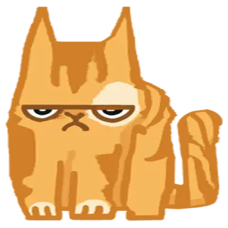 😕 cat, angry, grumpy, cute, animal, pet, cartoon, feline telegram sticker