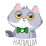 📱 cat telegram sticker