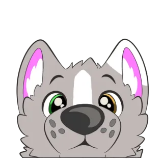 😮 animal, chien, chiot, mignon, dessin animé, poilu telegram sticker
