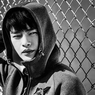 🕸 người, đàn ông, áo hoodie, chân dung, khuôn mặt, hàng rào lưới, nghiêm túc, trẻ telegram sticker