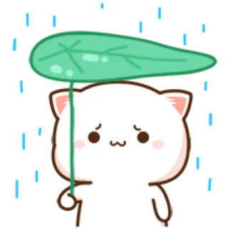 🥺 Katze, traurig, Regen, Blatt, süß, Tier telegram sticker