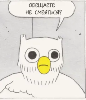 😶 ОБЕЩАЕТЕ
НЕ СМЕЯТЬСЯ? burung hantu, kartun, pertanyaan, janji, humor whatsapp sticker