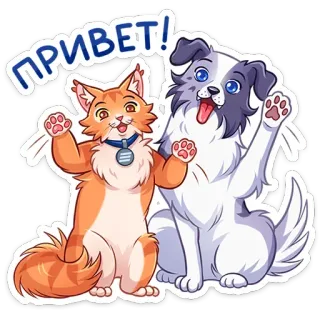 👋 ПРИВЕТ! cat, dog, greeting, animals, friendship, cartoon telegram sticker