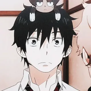 😳 Rin Okumura Blue Exorcist Anime, Chico, Gato, Lindo, Personaje, Blue Exorcist, Rin Okumura telegram sticker