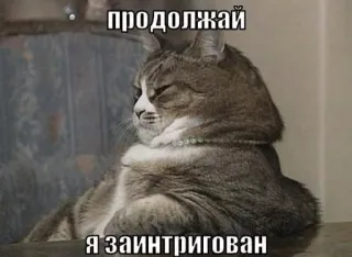 😺 продолжай
Я заинтригован cat, meme, intrigued, continue, russian, funny, animal telegram sticker
