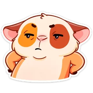 😡 การ์ตูน, สัตว์, หนูตะเภา, น่ารัก, ตลก, สติกเกอร์ telegram sticker