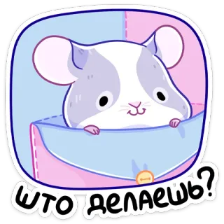 ❓ Что делаешь? chinchila, fofo, animal, bolso, desenho animado whatsapp sticker