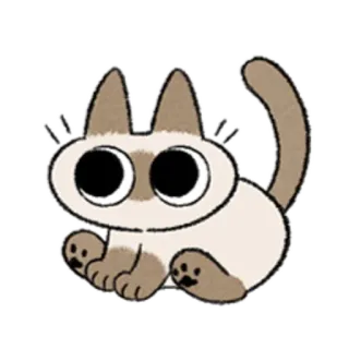 😺 gato, siamês, animal, fofo, adesivo telegram sticker