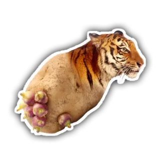 🐯 tigre, patata, animal, vegetal, gracioso, híbrido whatsapp sticker