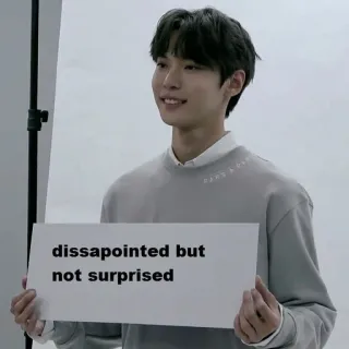 🏯 dissapointed but not surprised разочарован, мем, реакция, выражение, не удивлен telegram sticker
