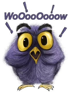 😳 WoOoOOooow นกฮูก, การ์ตูน, น่ารัก, สีม่วง, อัศเจรีย์, ตกใจ, ตาโต telegram sticker