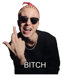 🖕 BITCH dito medio, offensivo, parolaccia, uomo, occhiali da sole, volgarità telegram sticker