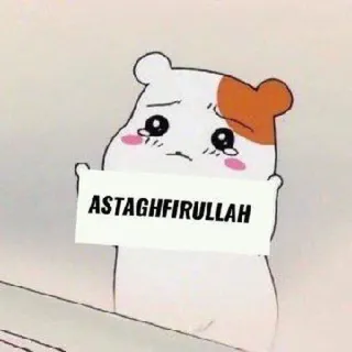 🔮 ASTAGHFIRULLAH religius, islam, muslim, hamster, menangis, taubat whatsapp sticker