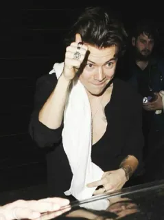 💵 Harry Styles chanteur, homme, célébrité, portrait telegram sticker