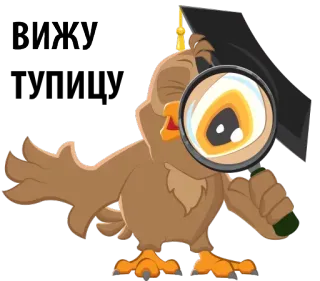 🔫 ВИЖУ coruja, lupa, formatura, estudando, visão, educação whatsapp sticker