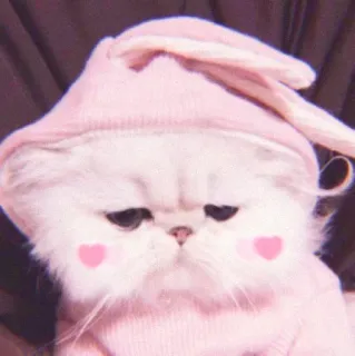 ❤ gato, lindo, rosa, animal, gatito, mascota, kawaii whatsapp sticker