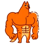 High Fox whatsapp stickers