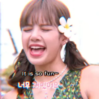 🐰 Lisa It is so fun~
너무 재미있어요 K-Pop, Lisa, Koreanisch, Sängerin, Blackpink telegram sticker