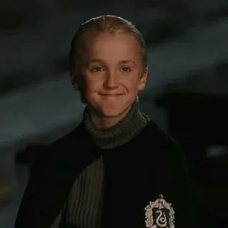 🐾 Draco Malfoy Harry Potter 드레이코 말포이, 해리 포터, 마법사, 슬리데린, 마법, 학교, 캐릭터 telegram sticker