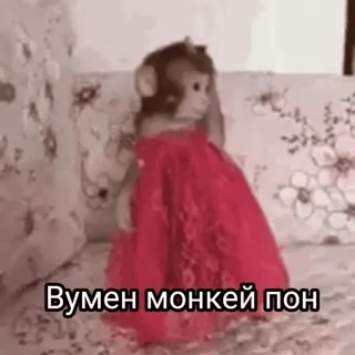 🌟 Вумен монкей пон macaco, vestido, animal, fofo whatsapp sticker